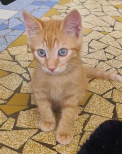 ATHOS