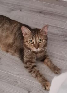 BETTY