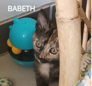 BABETH