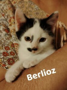 BERLIOZ - Aude Buchillet