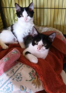 BIANCA & BAMBOU