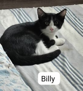 BILLY