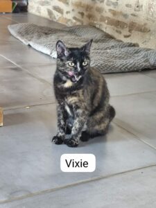 VIXIE
